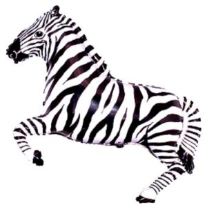 Zebra crna 40"